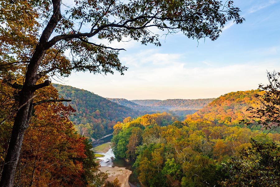 Columbia, KY Insurance - Beautiful View of Rolling Mountains in Autumn on a Bright Afternoon, a Tree Crossing Over the View, Seen From a High Ledge
